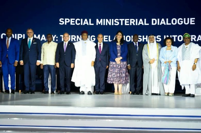 وزير الخارجية: الدبلوماسية الاقتصادية محرك رئيسي لدعم التنمية في أفريقيا